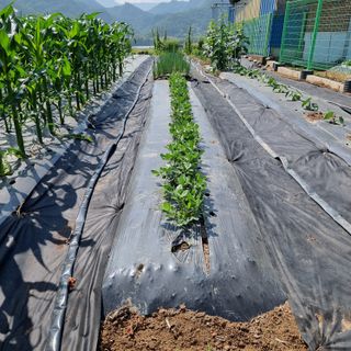 이종권님의 자유주제 · 자유게시판 작성글 사진