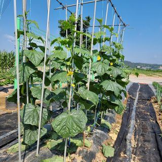 이종권님의 자유주제 · 자유게시판 작성글 사진