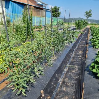 이종권님의 자유주제 · 자유게시판 작성글 사진