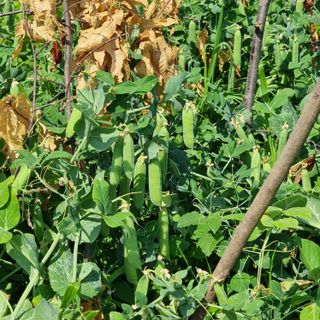 이종권님의 자유주제 · 자유게시판 작성글 사진