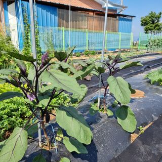 이종권님의 자유주제 · 자유게시판 작성글 사진