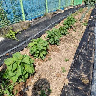 이종권님의 자유주제 · 자유게시판 작성글 사진