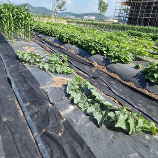 이종권님의 자유주제 · 자유게시판 작성글 사진