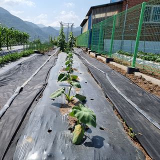 이종권님의 자유주제 · 자유게시판 작성글 사진