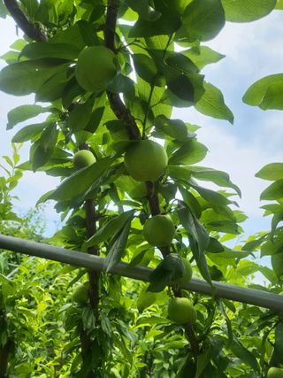 박범재0104195님의 자유주제 · 자유게시판 작성글 사진