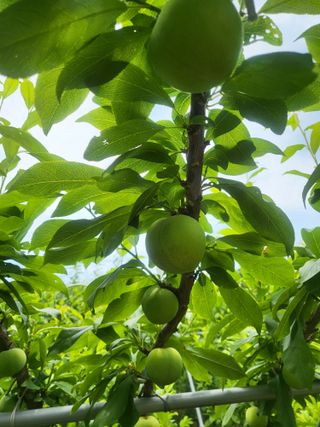 박범재0104195님의 자유주제 · 자유게시판 작성글 사진