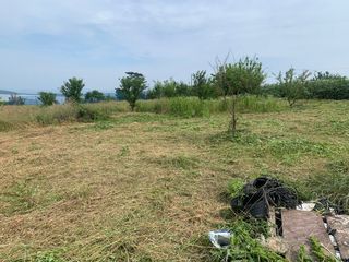 고흥유자님의 기타작물 · 영농일지 작성글 사진