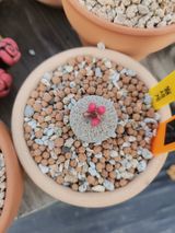 팜모닝 기타작물·영농일지 게시글 이미지