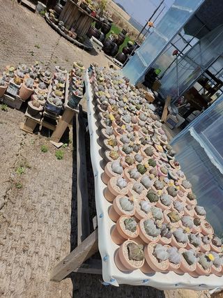 이연옥님의 기타작물 · 영농일지 작성글 사진