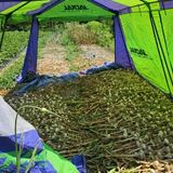 팜모닝 마늘·영농일지 게시글 이미지