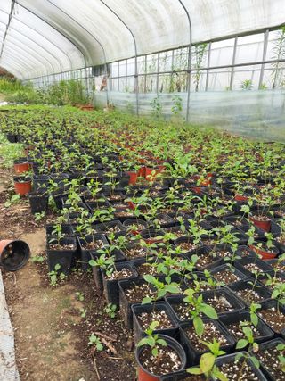 팜모닝회원 최창락 님의 🎤어떤 노래 좋아하세요? · 참여글 작성글 사진