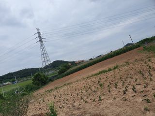 똘아리3님의 기타작물 · 영농일지 작성글 사진