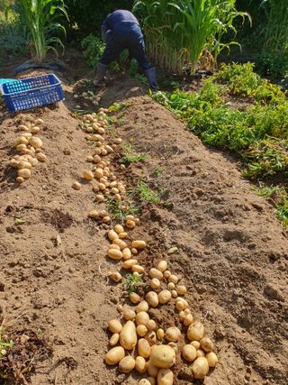 안씨농원님의 자유주제 · 자유게시판 작성글 사진