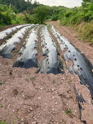 와이에스님의 자유주제 · 자유게시판 작성글 사진