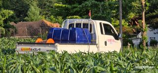 황둔얼렁뚱땅체리농부님의 콩 · 자유게시판 작성글 사진