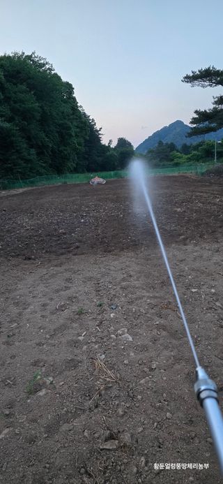 황둔얼렁뚱땅체리농부님의 콩 · 자유게시판 작성글 사진