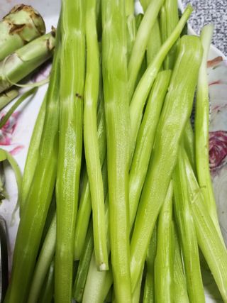 장흥 모경화 님의 기타작물 · 영농일지 작성글 사진