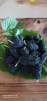 팜모닝 · 게시글 이미지