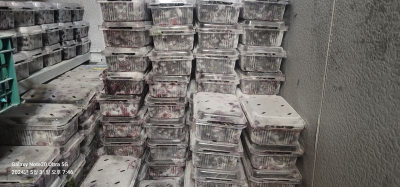 조명희님의 장터 판매 상품 [급냉오디(k3)1kg] 첨부 사진