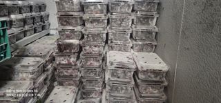 조명희님의 작성글 사진