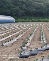 팜모닝 콩·영농일지 게시글 이미지