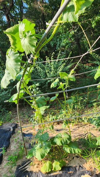 정산님의 자유주제 · 자유게시판 작성글 사진