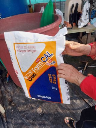 하늘샘(하경수)님의 고추 · 영농일지 작성글 사진