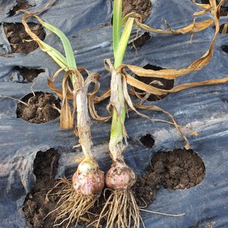 호박10186님의 자유주제 · 자유게시판 작성글 사진