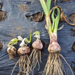 호박10186님의 자유주제 · 자유게시판 작성글 사진