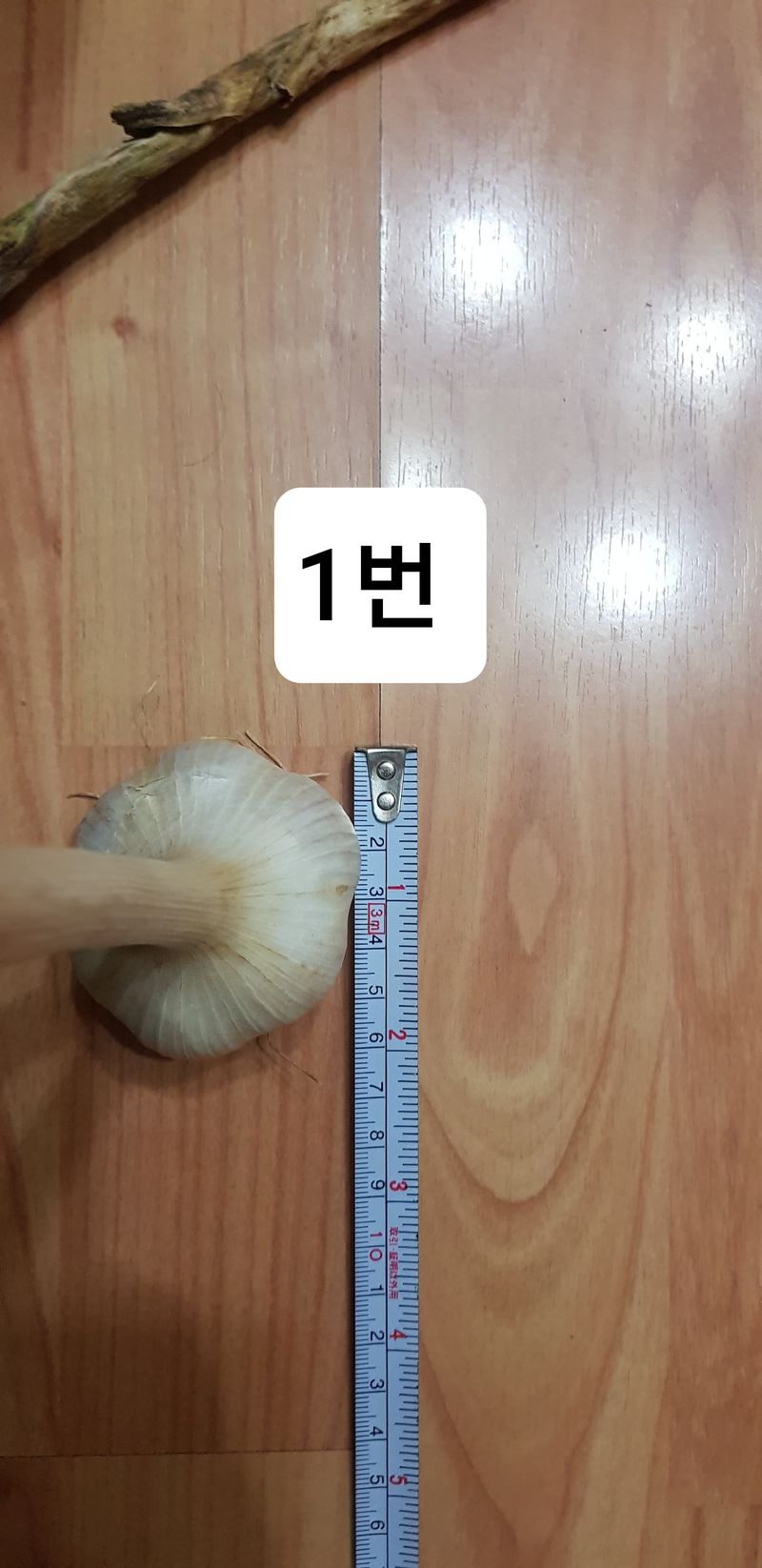 이상의님의 장터 판매 상품 [홍산마늘 판매합니다.(판매 완료입니다)] 첨부 사진
