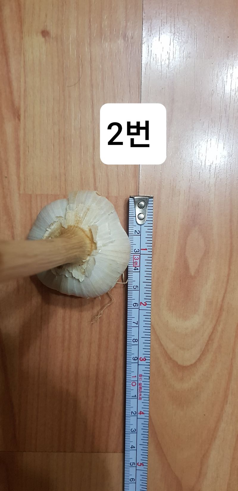 이상의님의 장터 판매 상품 [홍산마늘 판매합니다.(판매 완료입니다)] 첨부 사진