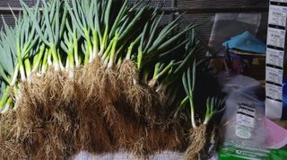 심기섭님의 자유주제 · 자유게시판 작성글 사진