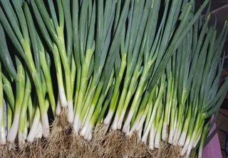 심기섭님의 자유주제 · 자유게시판 작성글 사진