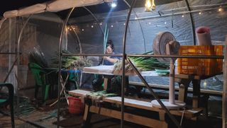 심기섭님의 자유주제 · 자유게시판 작성글 사진