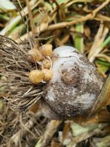 팜모닝 자유주제·자유게시판 게시글 이미지