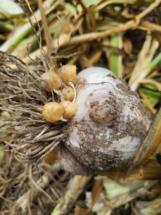 도리님의 자유주제 · 자유게시판 작성글 사진