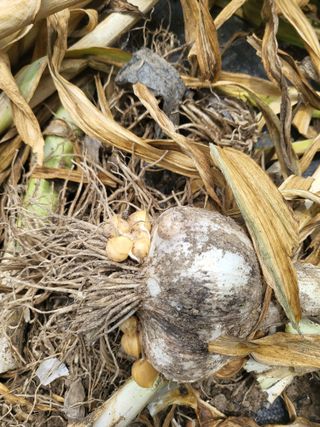 도리님의 자유주제 · 자유게시판 작성글 사진