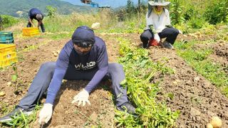 숙이농장님의 자유주제 · 자유게시판 작성글 사진