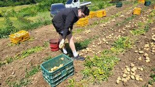 숙이농장님의 자유주제 · 자유게시판 작성글 사진