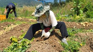숙이농장님의 자유주제 · 자유게시판 작성글 사진