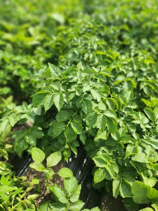 숙이농장님의 자유주제 · 자유게시판 작성글 사진