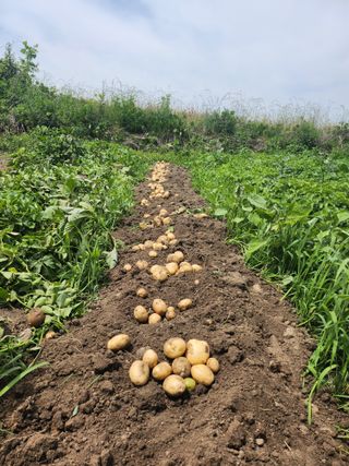 숙이농장님의 자유주제 · 자유게시판 작성글 사진