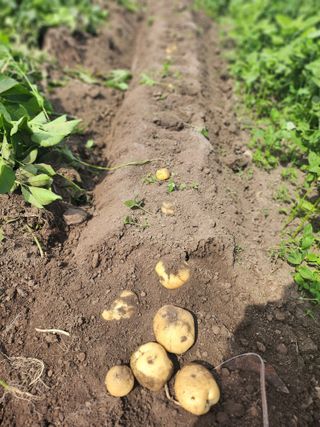 숙이농장님의 자유주제 · 자유게시판 작성글 사진