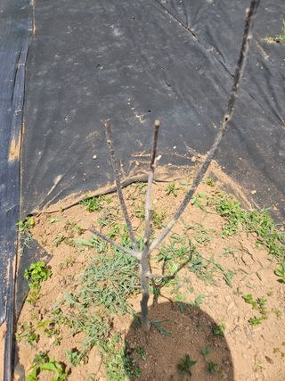 반도님의 자유주제 · 자유게시판 작성글 사진