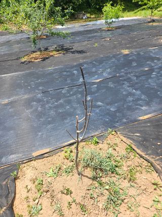 반도님의 자유주제 · 자유게시판 작성글 사진