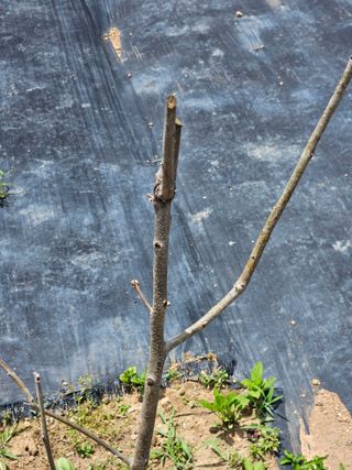 반도님의 자유주제 · 자유게시판 작성글 사진