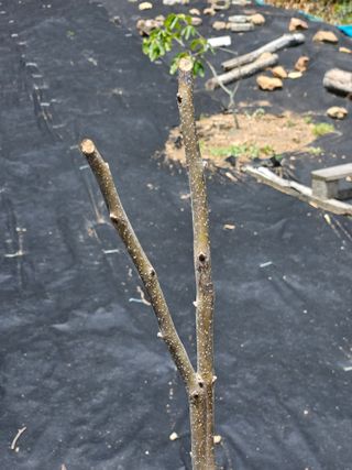 반도님의 자유주제 · 자유게시판 작성글 사진