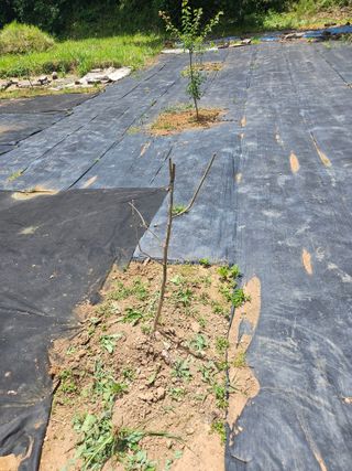 반도님의 자유주제 · 자유게시판 작성글 사진