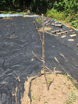 반도님의 자유주제 · 자유게시판 작성글 사진