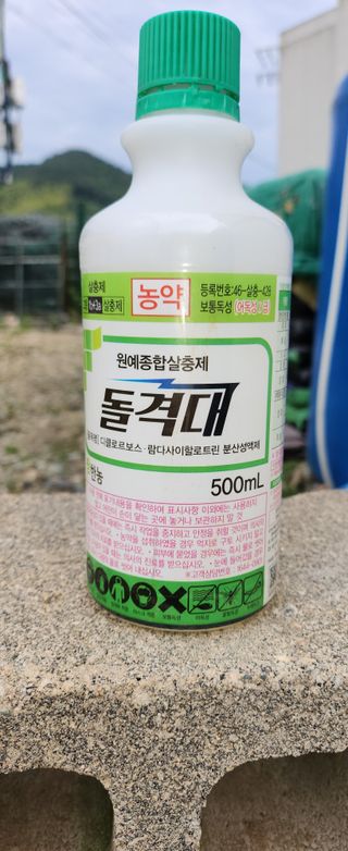 덕포킴님의 감 · 병해충상담 작성글 사진